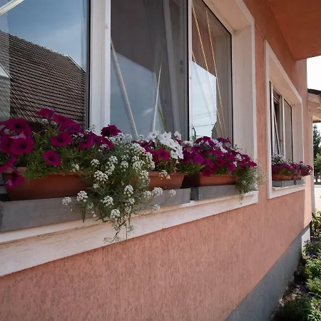 Apartamento Greta Ház *